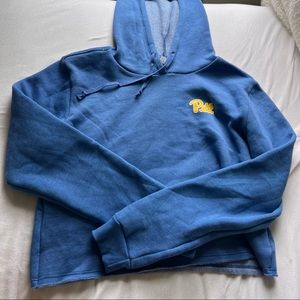 Pitt cropped sweatshirt